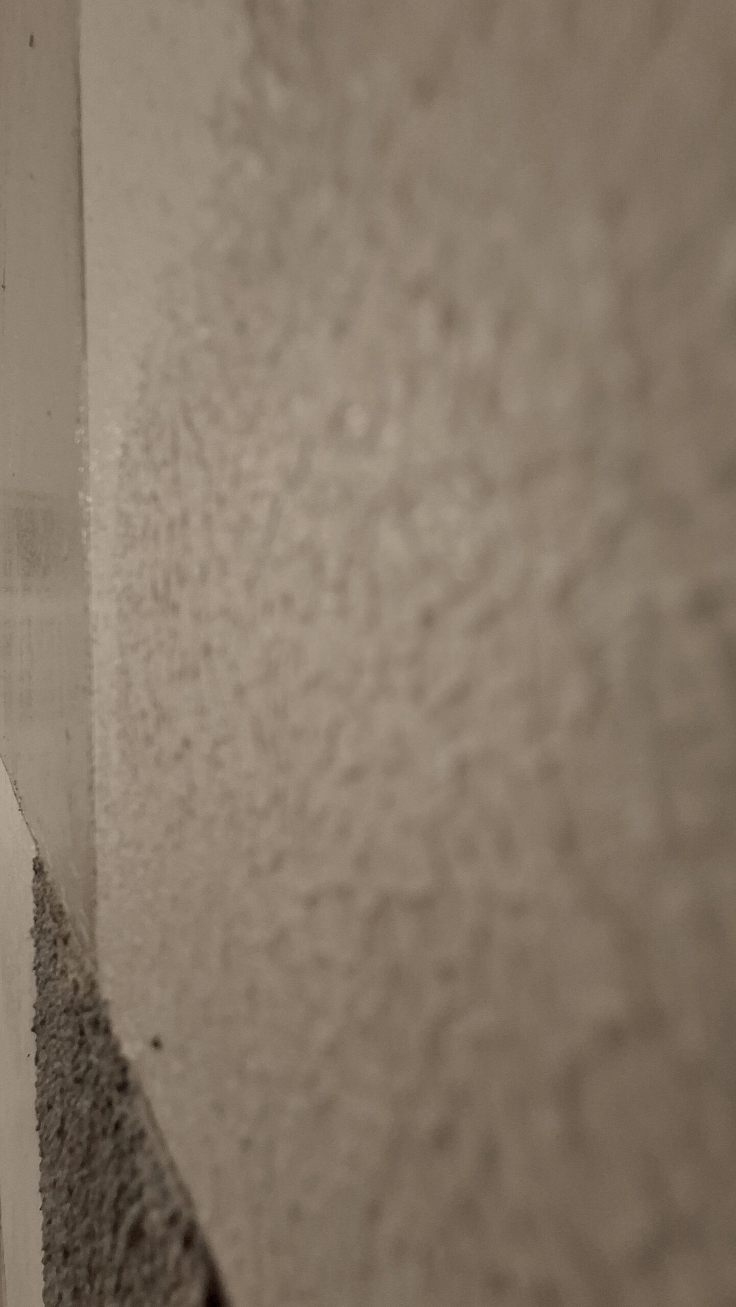 Portrait of textured acrylic artist in Mallorca Janis Baer in front of her paintings